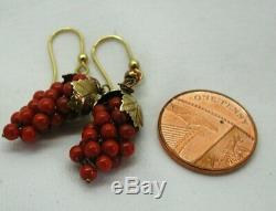 Antique / Vintage Pair Of Gold Gilded Silver And Coral Bunch Of Grapes Earrings