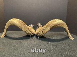 Pair of Vintage Authentic Rams Horn & Silver Candleholders
