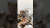 The Beauty Of Silver I Can T Get Enough Antique Antiques Antiquehaul Vintage Vintagestyle
