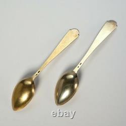 Vintage Pair Russian 875 Silver & Enamel Spoons, 5.75l