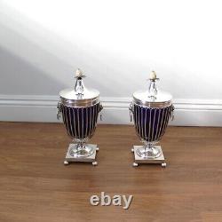 Vintage Pair of Cobalt Blue Glass Urns with Silver Plated Frames and Lion Handle