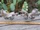 Vintage Sterling Silver 925 Fighting Roosters Pair