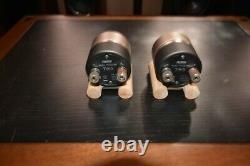 Fostex T96a Horn Super Tweeter Unité Pair Used Japon Haut-parleur Pilote Vintage Rare