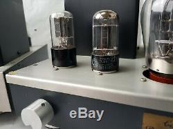 Vintage Tube Pr Audio 300b Paire D'amplificateurs De Puissance (tango Transformateurs)